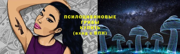 мяу мяу мука Новодвинск