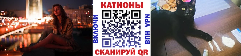 МЯУ-МЯУ мяу мяу хочу Питкяранта