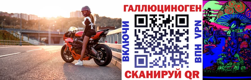 Псилоцибиновые грибы Cubensis  Питкяранта 