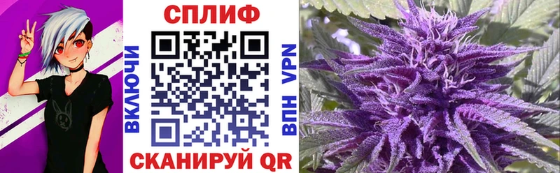 Шишки марихуана планчик Питкяранта